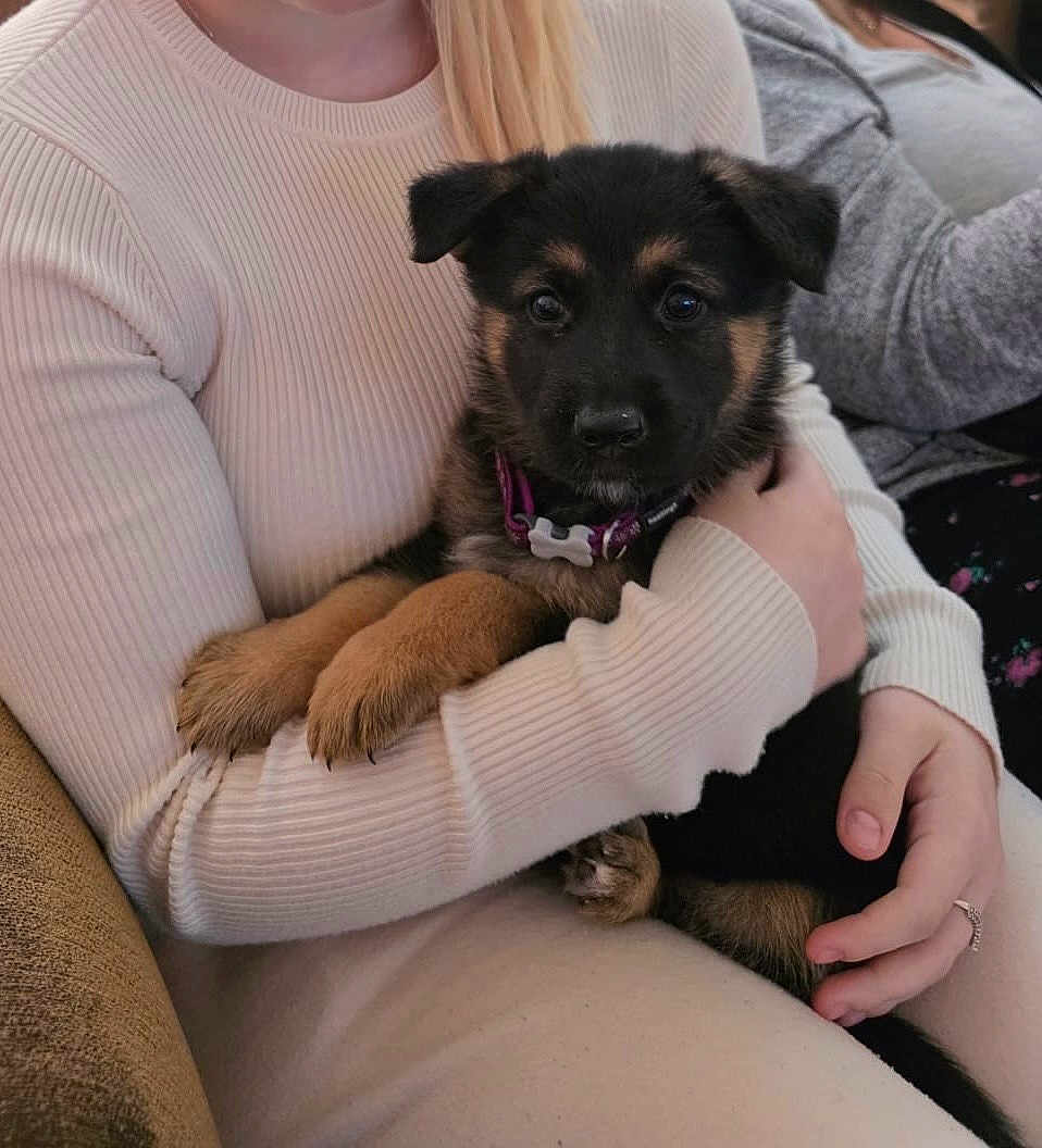 Mollie