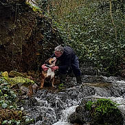 Philippe Moreau a rejoint le concours — aidez-le/la à gagner de superbes lots ! affection, animal, companion, crouching, dog, flowing_water, forest, greenery, landscape, love, moss, nature, outdoor, person, river, rocks, stream, trees, water, wildlife