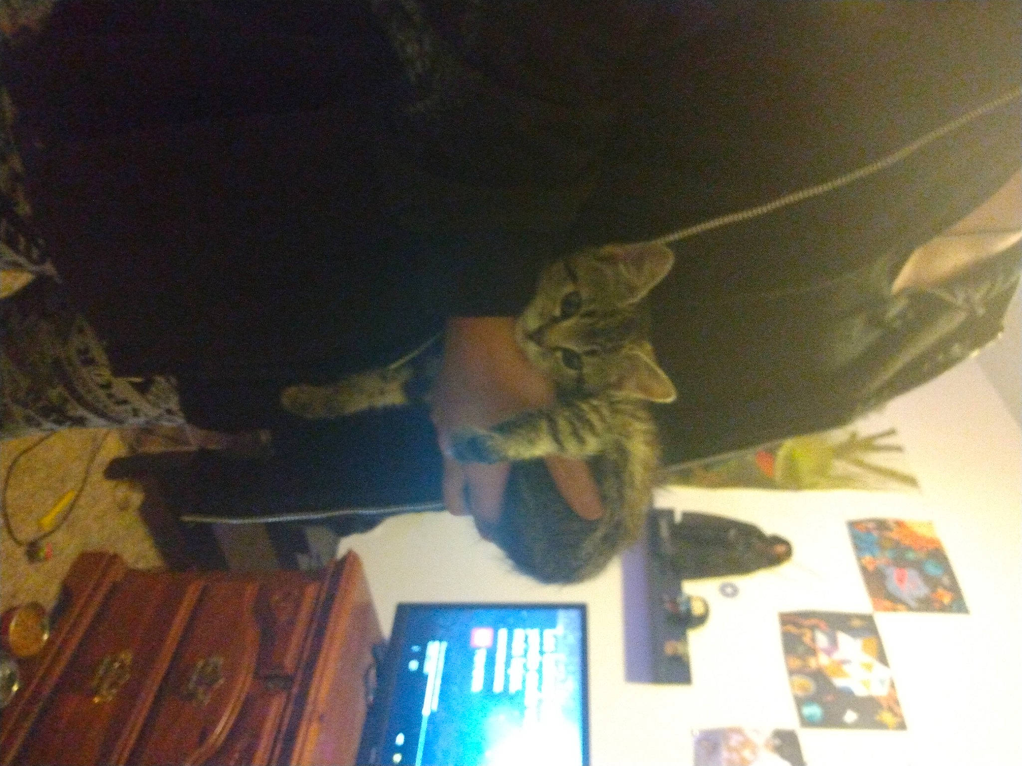 Aurora joined the competition — help win amazing prizes! elbow, fun, gesture, hat, room, space, visual_arts, wood