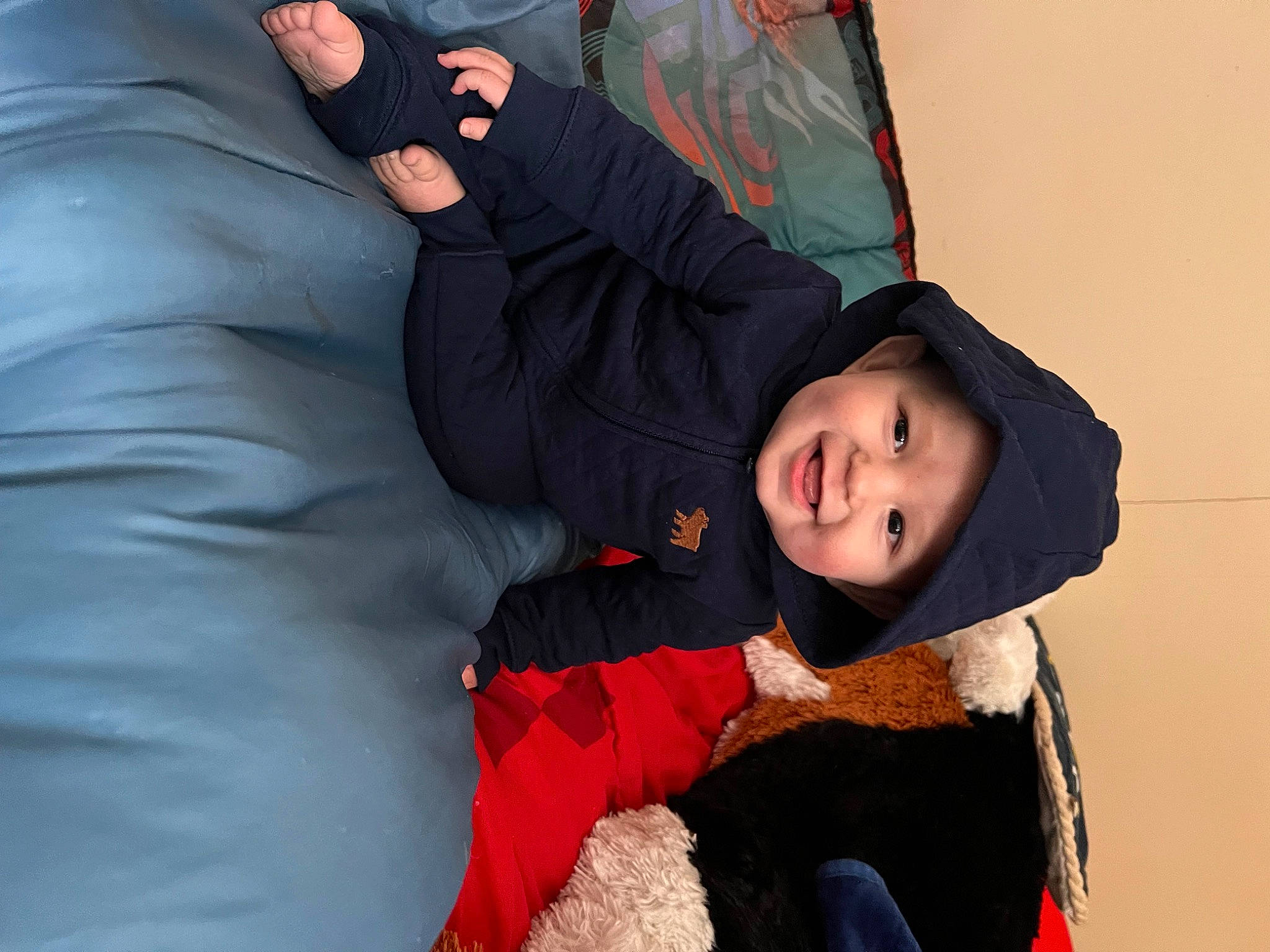 Haven is registered to the contest to win money with this photo: child, comfort, flash_photography, formal_wear, freezing, fun, fur, gesture, happy, headwear, joy, outerwear, person, portrait_photography, sitting, sleeve, smile, suit, toddler, winter
