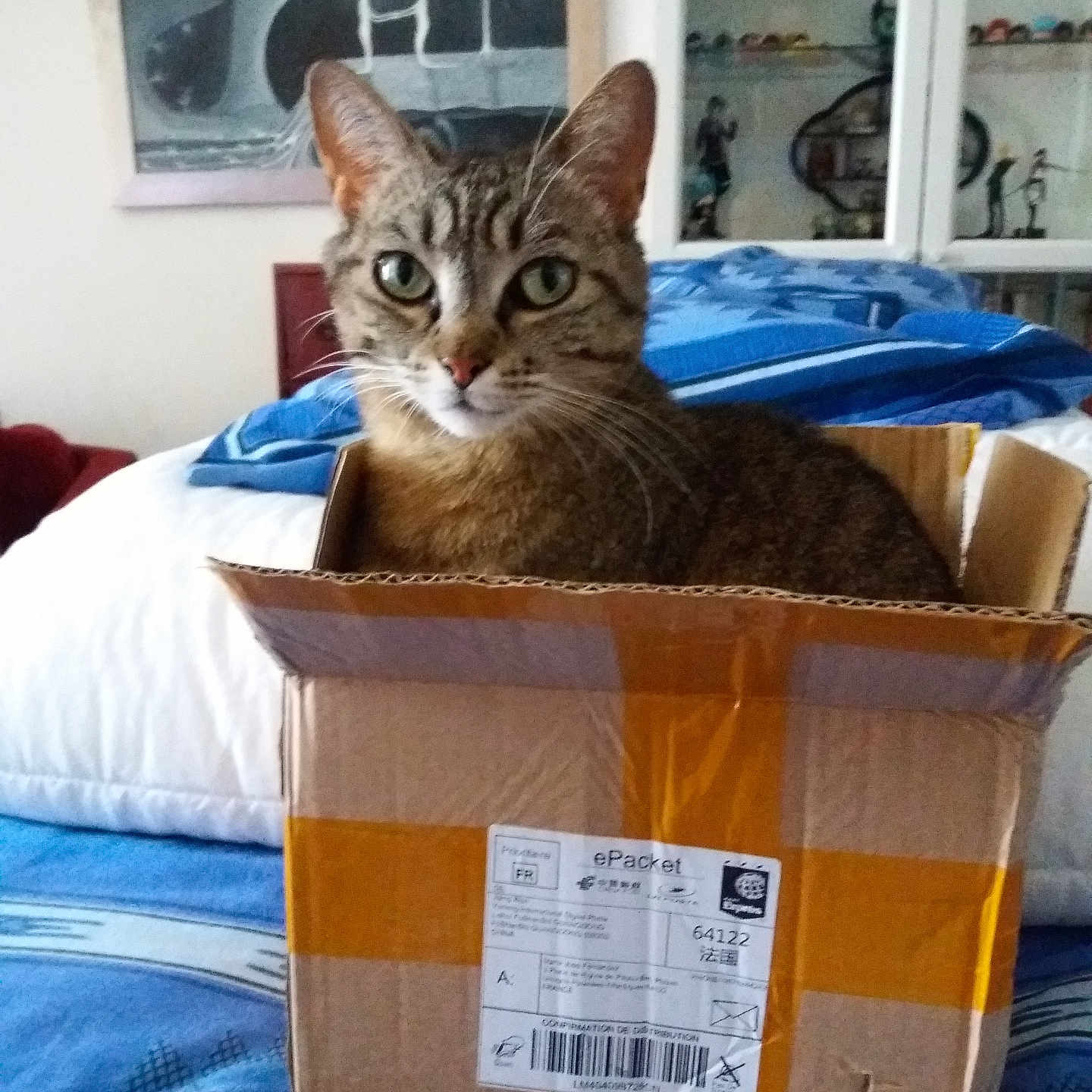 Sora