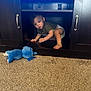 Idris joined the competition — help win amazing prizes! toddler, child, cabinet, carpet, toy, plush, blue, furniture, curious, indoors, crawling, diaper, clothing, wood, home, exploring, young_child, face, person, floor