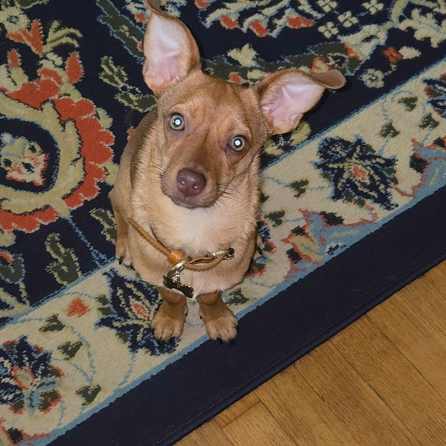 Archie
