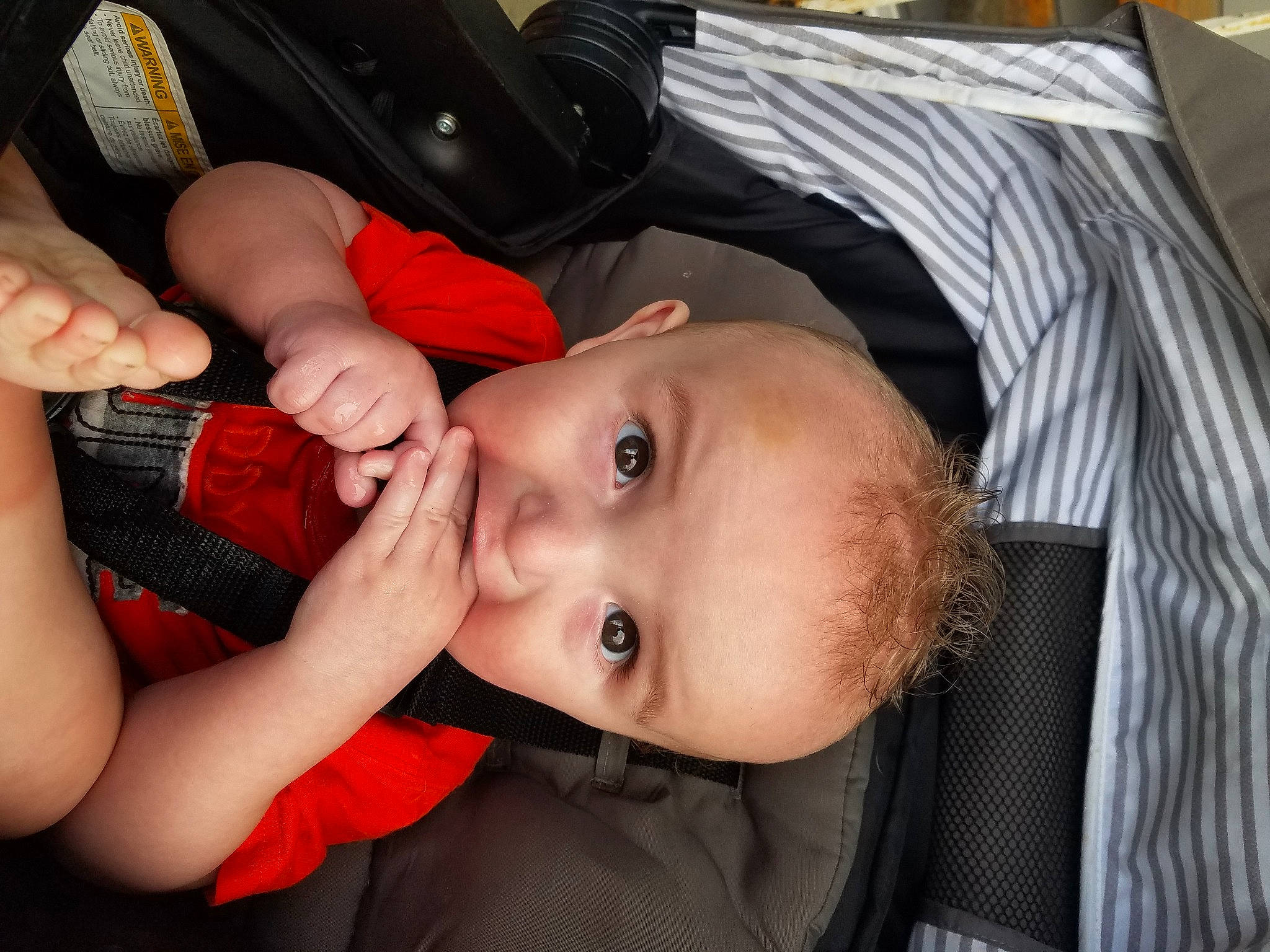 Freddy joined the competition — help win amazing prizes! arm, child, finger, hand, mouth, nose, person, toddler