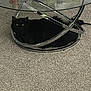 black_cat, cat, glass_table, carpet, indoor, pet, furniture, metal_frame, eyes, shadow, floor, living_room, domestic_animal, resting, cozy, modern, home, cute, animal, relaxing