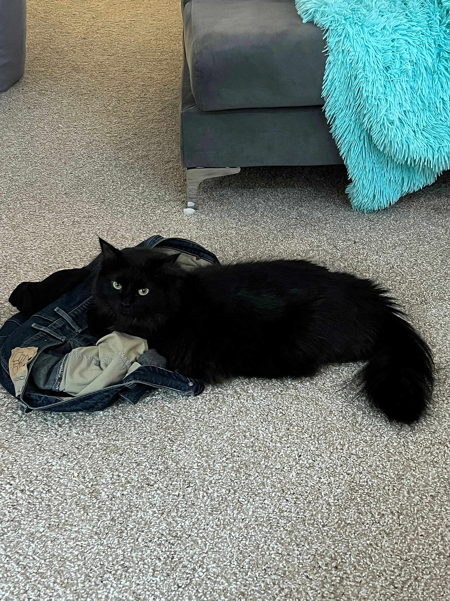 Luna