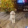 Bailey