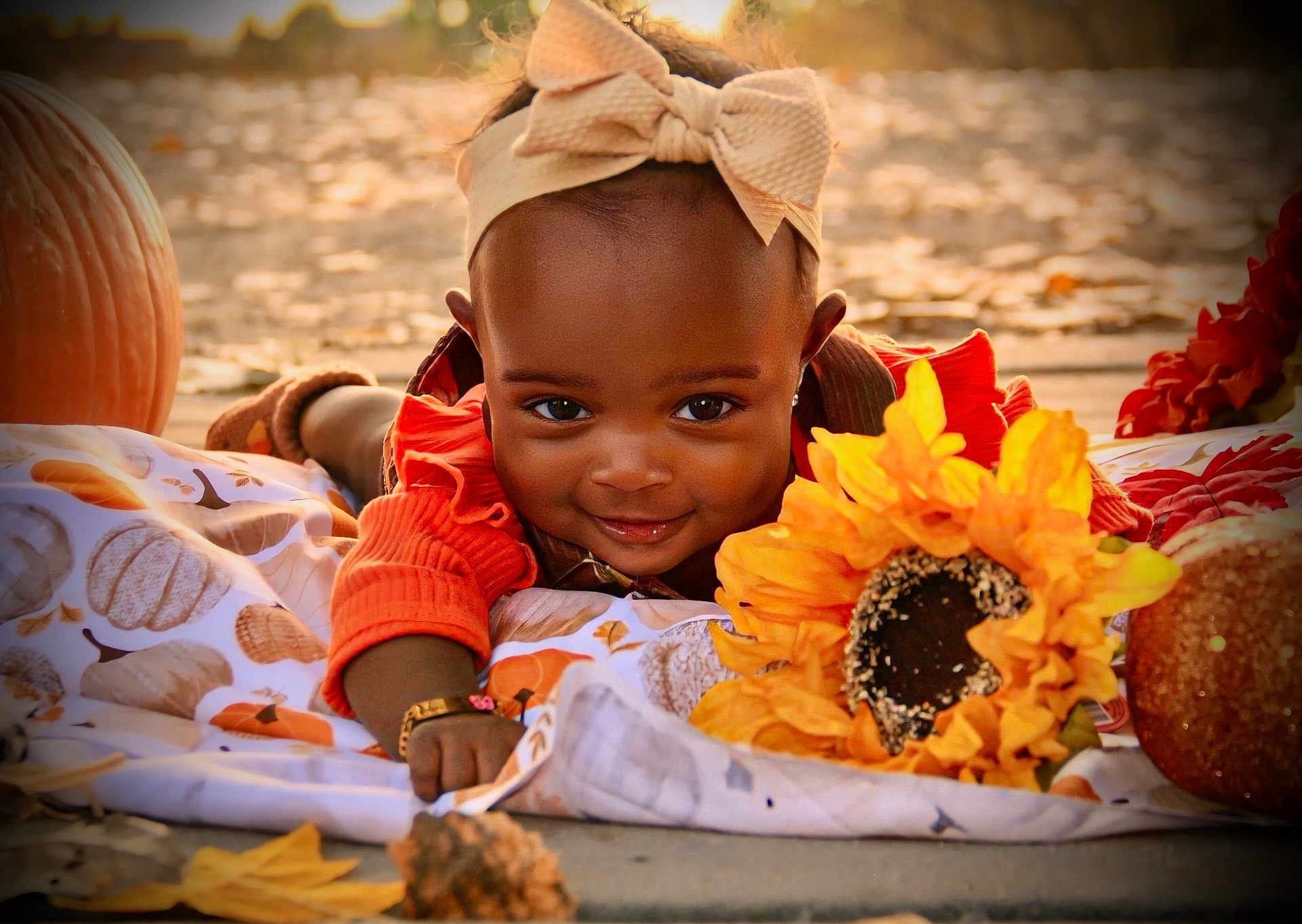 Adore is registered to the contest to win money with this photo: baby, child, smiling, headband, bow, blanket, pumpkin, sunflower, autumn, fall, outdoor, portrait, cute, happy, face, nature, seasonal, warm_light, flower, toddler