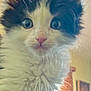 Panda joined the competition — help win amazing prizes! kitten, cat, fluffy, black_and_white, indoor, close_up, pet, animal, fur, whiskers, cute, curious, face, ears, eyes, domestic_cat, soft_light, window_blinds, portrait, young
