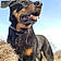 Idefix