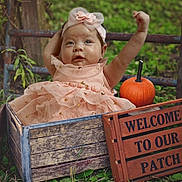 Talitha is registered to the contest to win money with this photo: baby, child, outdoor, pumpkin, crate, dress, headband, wooden_sign, greenery, grass, fall, autumn, cute, smiling, nature, celebration, portrait, person, happy, seasonal
