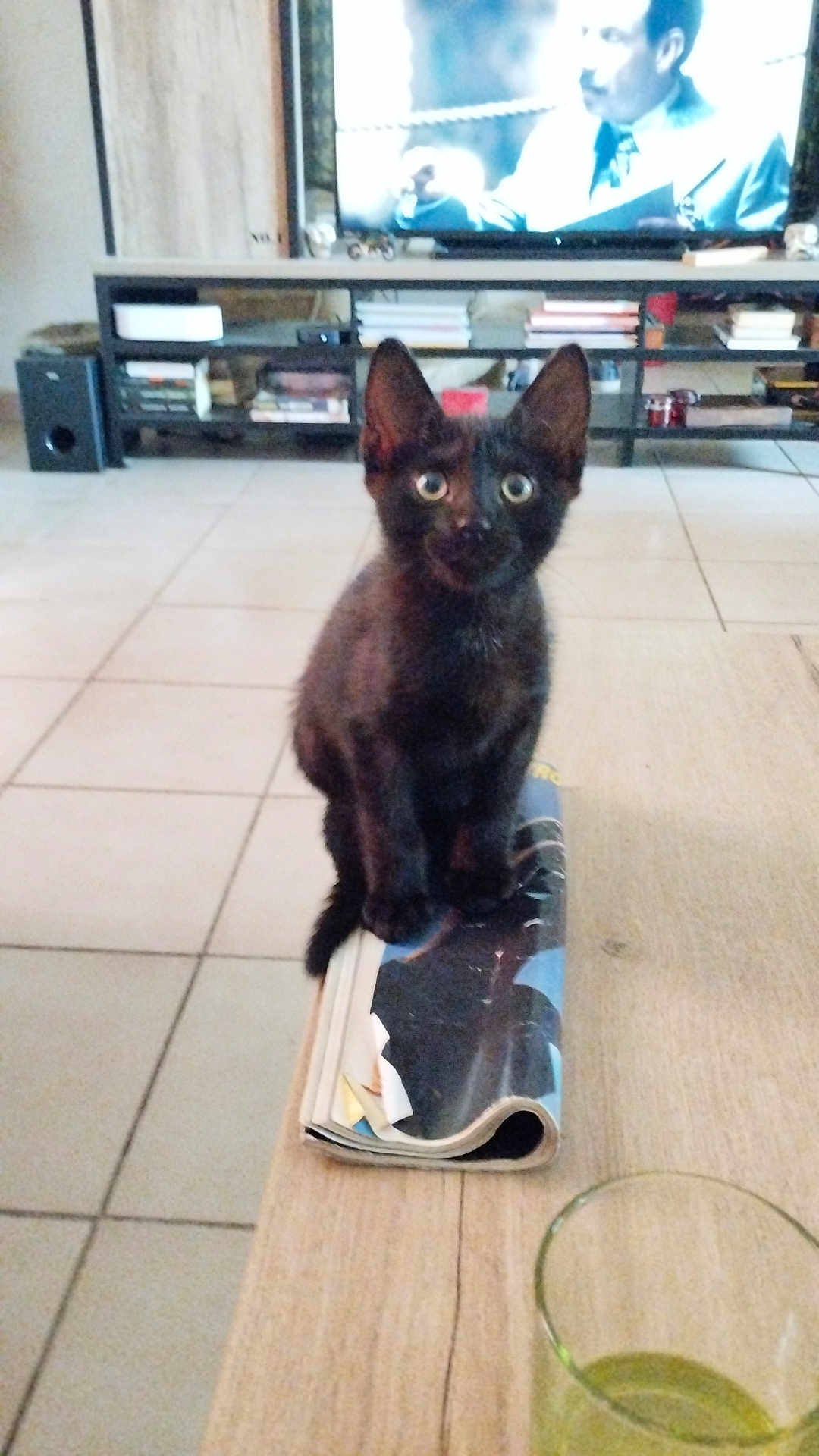 Loki