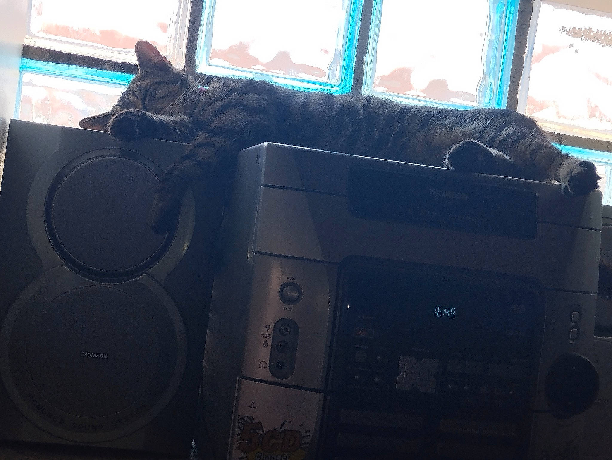 Caline a rejoint le concours — aidez-le/la à gagner de superbes lots ! audio_equipment, auto_part, cat, comfort, electronic_device, felidae, gadget, home_appliance, living_room, multimedia, output_device, room, small_to_medium_sized_cats, tail, vehicle_door, window