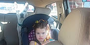 Phoenix is registered to the contest to win money with this photo: child, toddler, car_seat, dog, white_dog, car_interior, backseat, seatbelt, yellow_clothing, serious_expression, vehicle, window, sunlight, pet, animal, person, transportation, headrest, seat, daylight