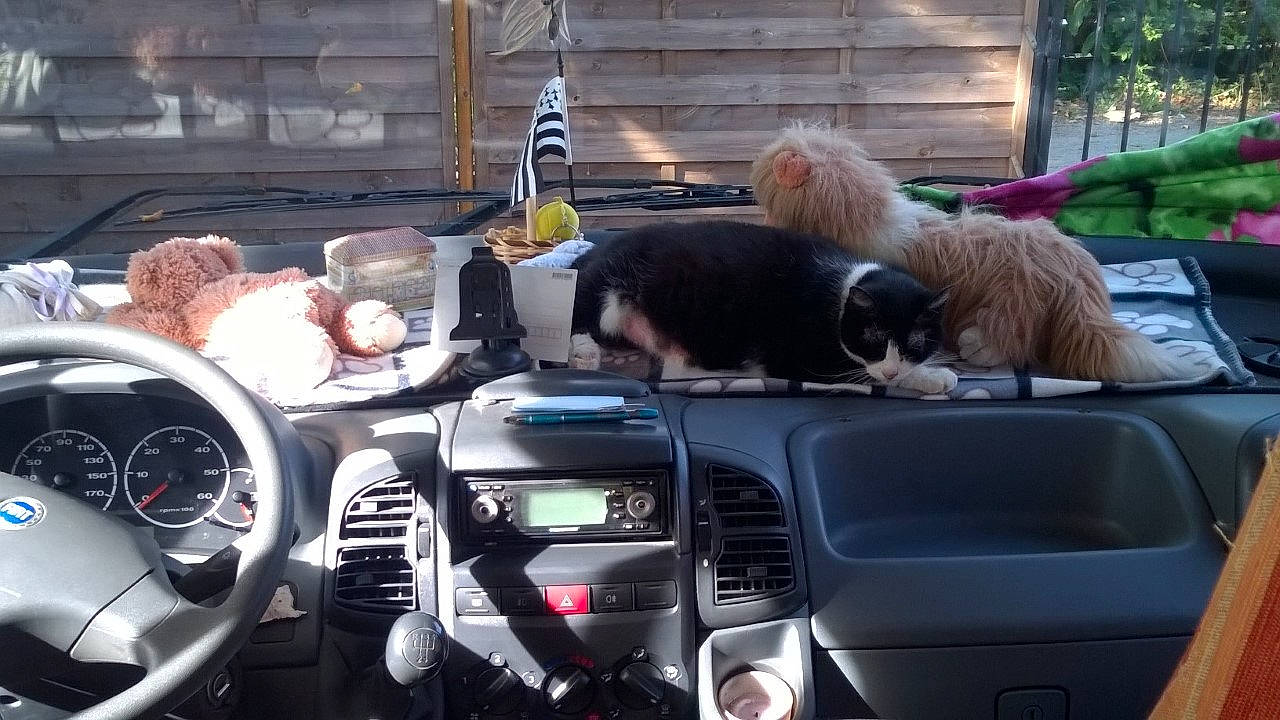 Fanfare participe au concours pour gagner de l'argent avec cette photo : auto_part, automotive_window_part, car, compact_car, family_car, glass, mode_of_transport, motor_vehicle, parking, steering_wheel, traffic, vehicle, window, windshield