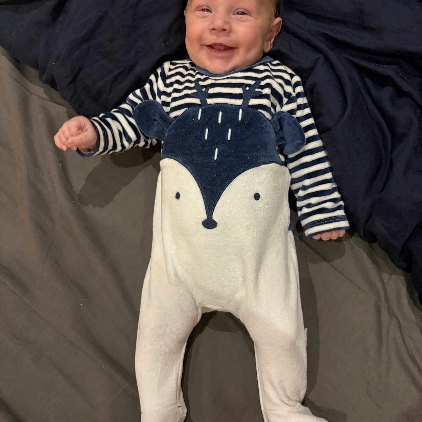 Ilesio participe au concours pour gagner de l'argent avec cette photo : animal_print, baby, bed, blanket, child, comfort, cozy, cute, face, footed_pajamas, happy, indoors, infant, lying_down, onesie, person, portrait, smiling, soft_lighting, striped_clothing