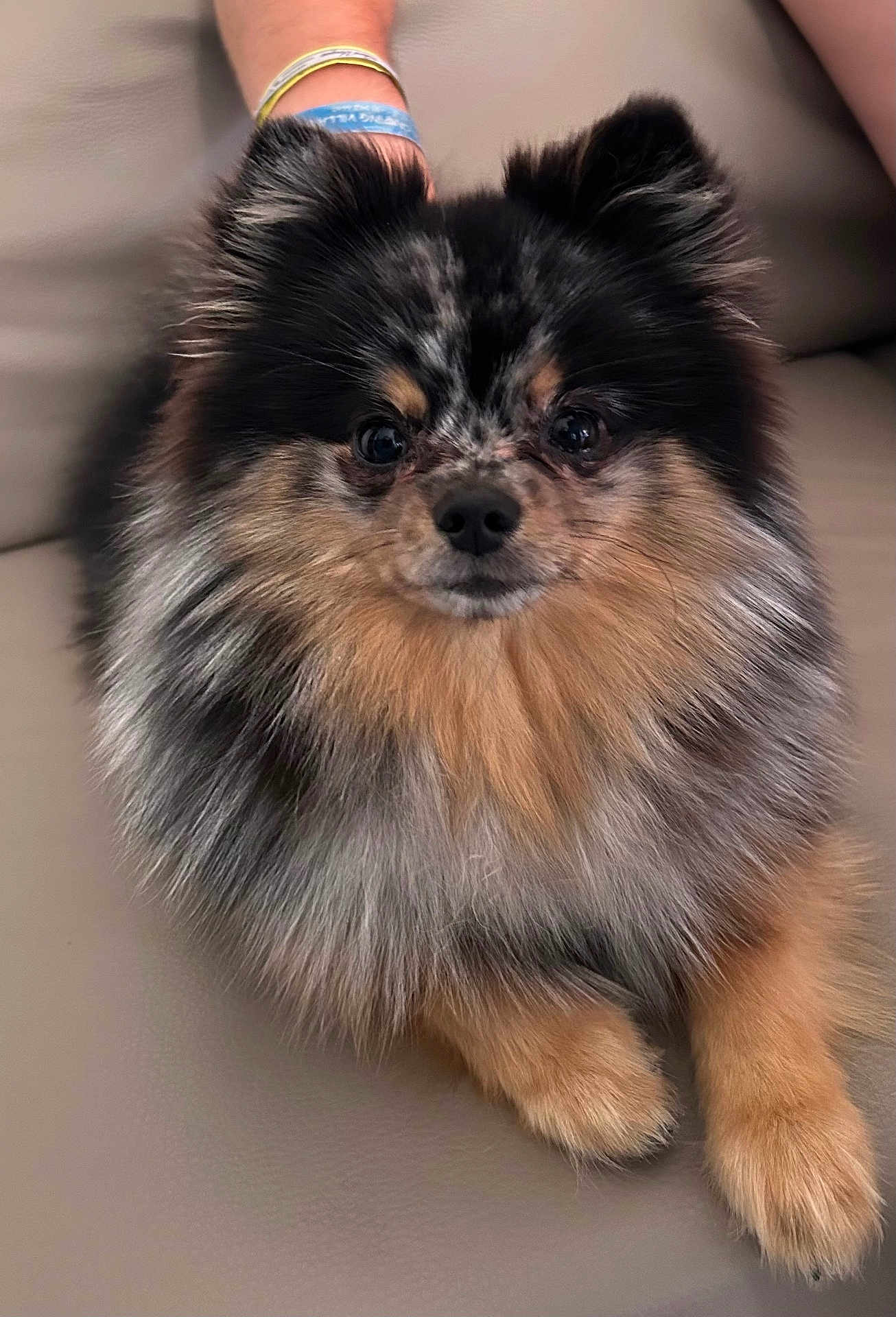 Winny