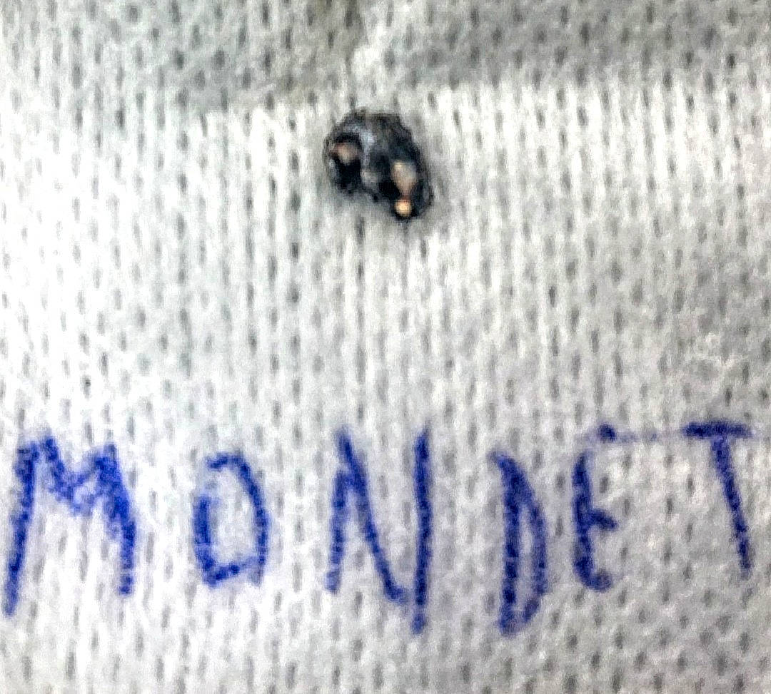 Lancelot participe au concours pour gagner de l'argent avec cette photo : art, blue, close_up, craft, cross_stitch, embroidery, font, pattern, stitch, text, textile, wool, woven_fabric