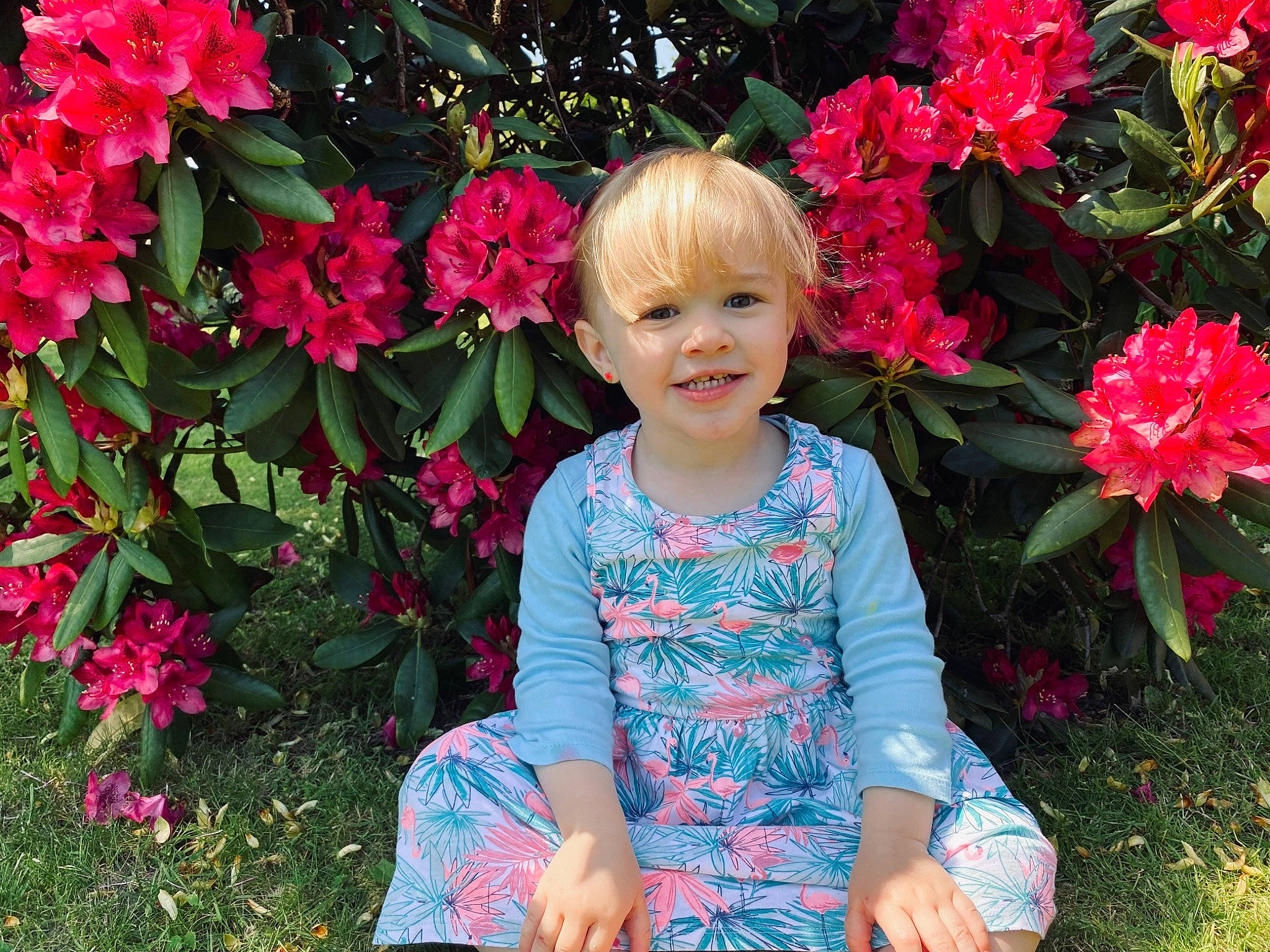 Lùcya a rejoint le concours — aidez-le/la à gagner de superbes lots ! annual_plant, baby_toddler_clothing, botany, flower, flowering_plant, garden, grass, happy, joy, leaf, magenta, people_in_nature, person, petal, pink, plant, red, rose_family, shrub, smile