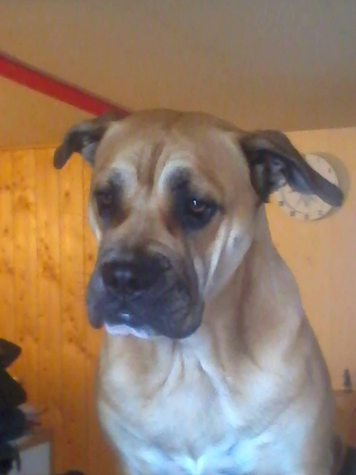 Happy Birthday De Can Bourbon