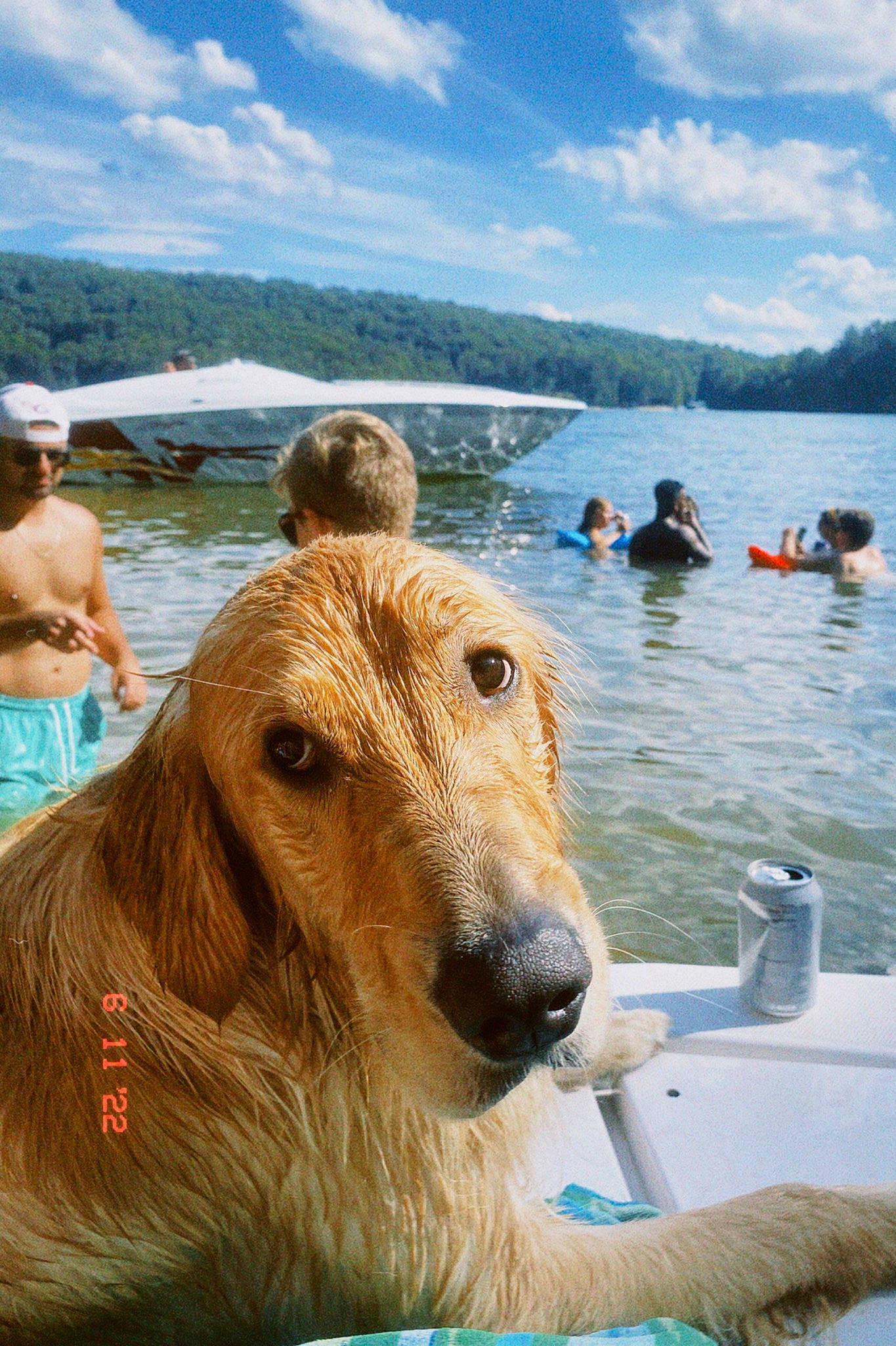 Fin is registered to the contest to win money with this photo: boat, boats_and_boating_equipment_and_supplies, carnivore, cloud, companion_dog, dog, dog_breed, fun, lake, leisure, mountain, recreation, sky, summer, tourism, travel, vacation, vehicle, water, working_animal