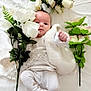baby, infant, white_clothing, flowers, artificial_flowers, lying_down, white_sheet, green_leaves, pink_flowers, soft_lighting, cute, child, portrait, peaceful, curious, small_hands, white_tights, decor, floral_arrangement, indoor