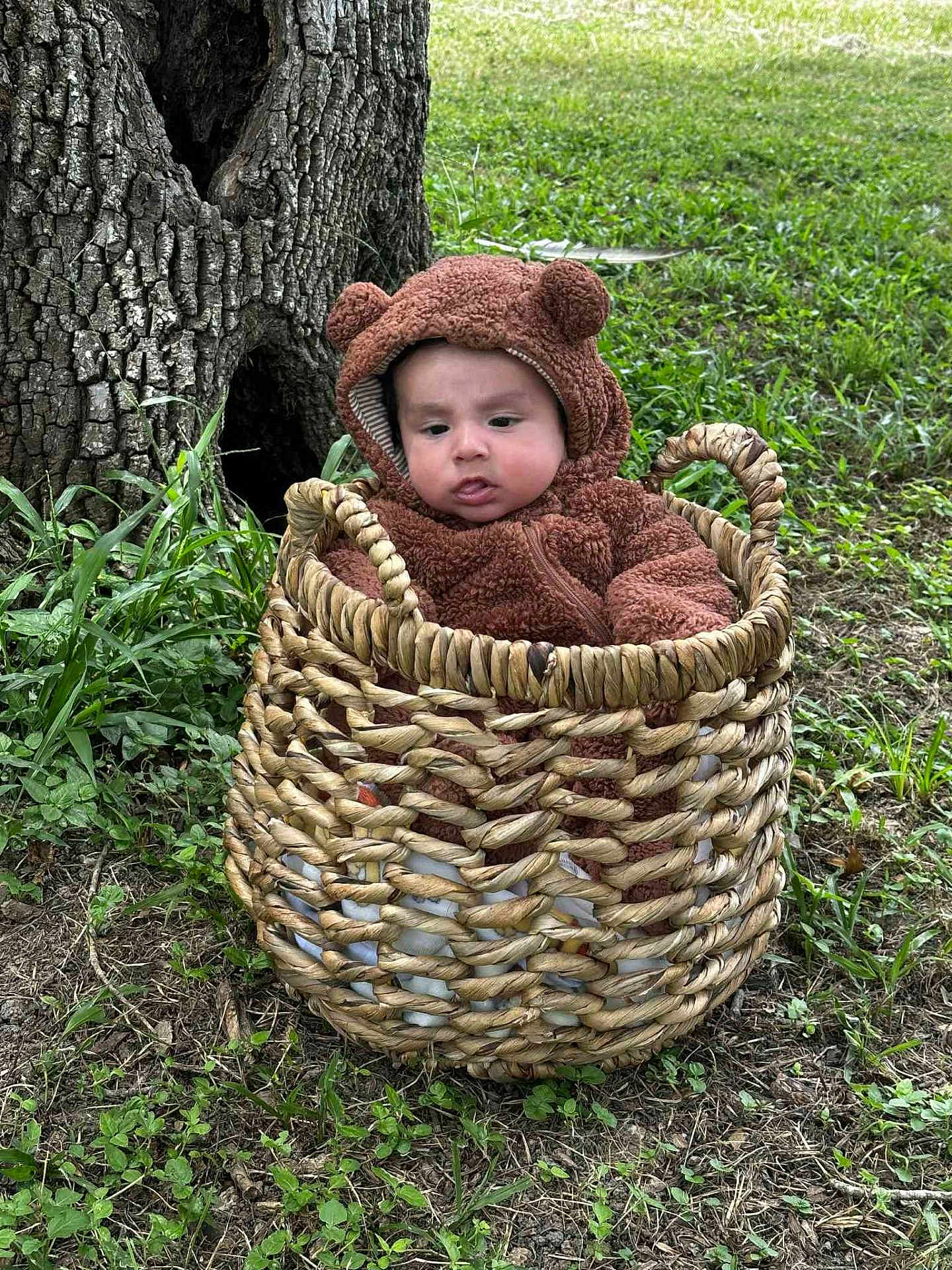 Michael joined the competition — help win amazing prizes! baby, child, basket, tree, grass, outdoor, nature, greenery, cute, fuzzy_clothing, onesie, face, expression, infant, wood, plant, ground, sitting, portrait, seasonal