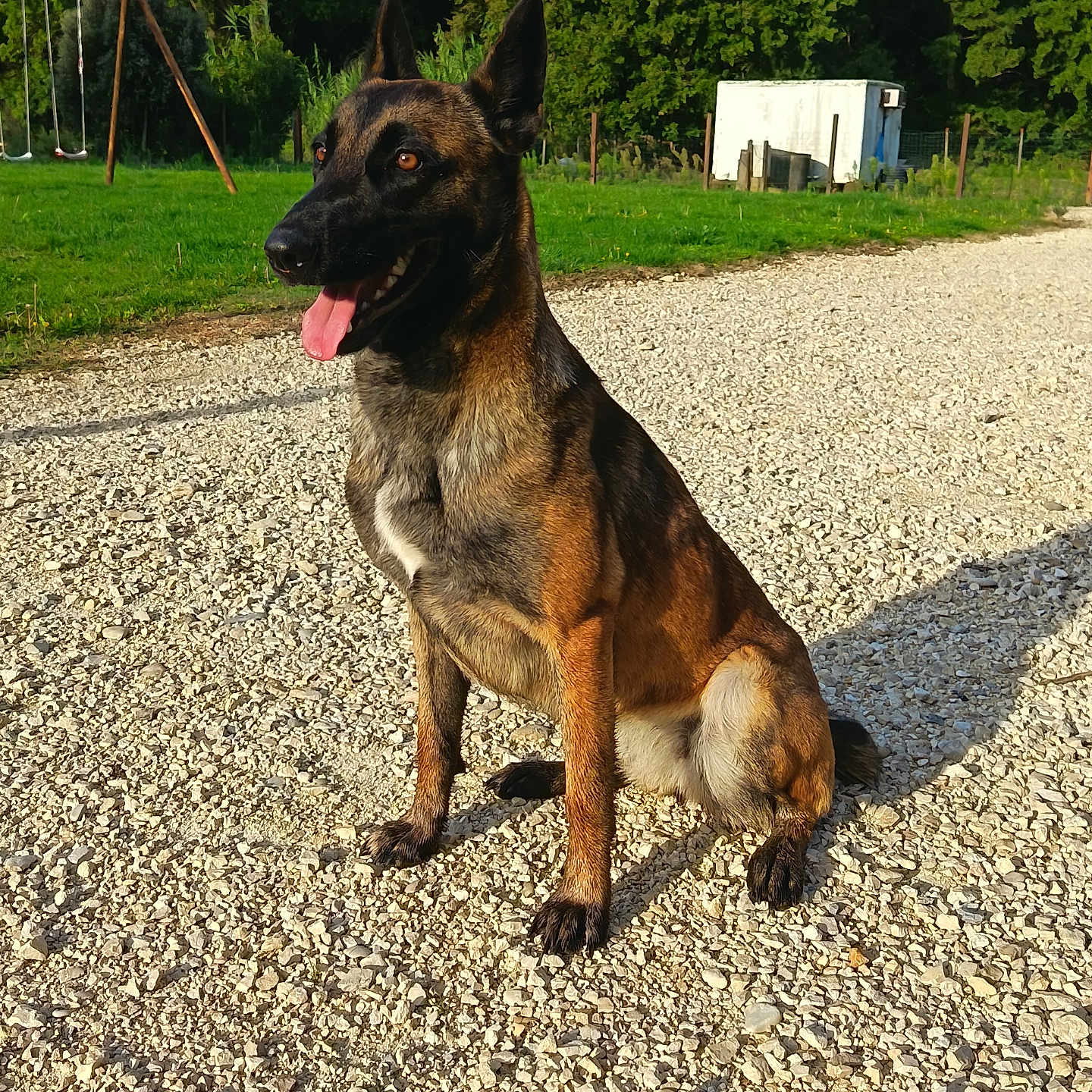 Véra