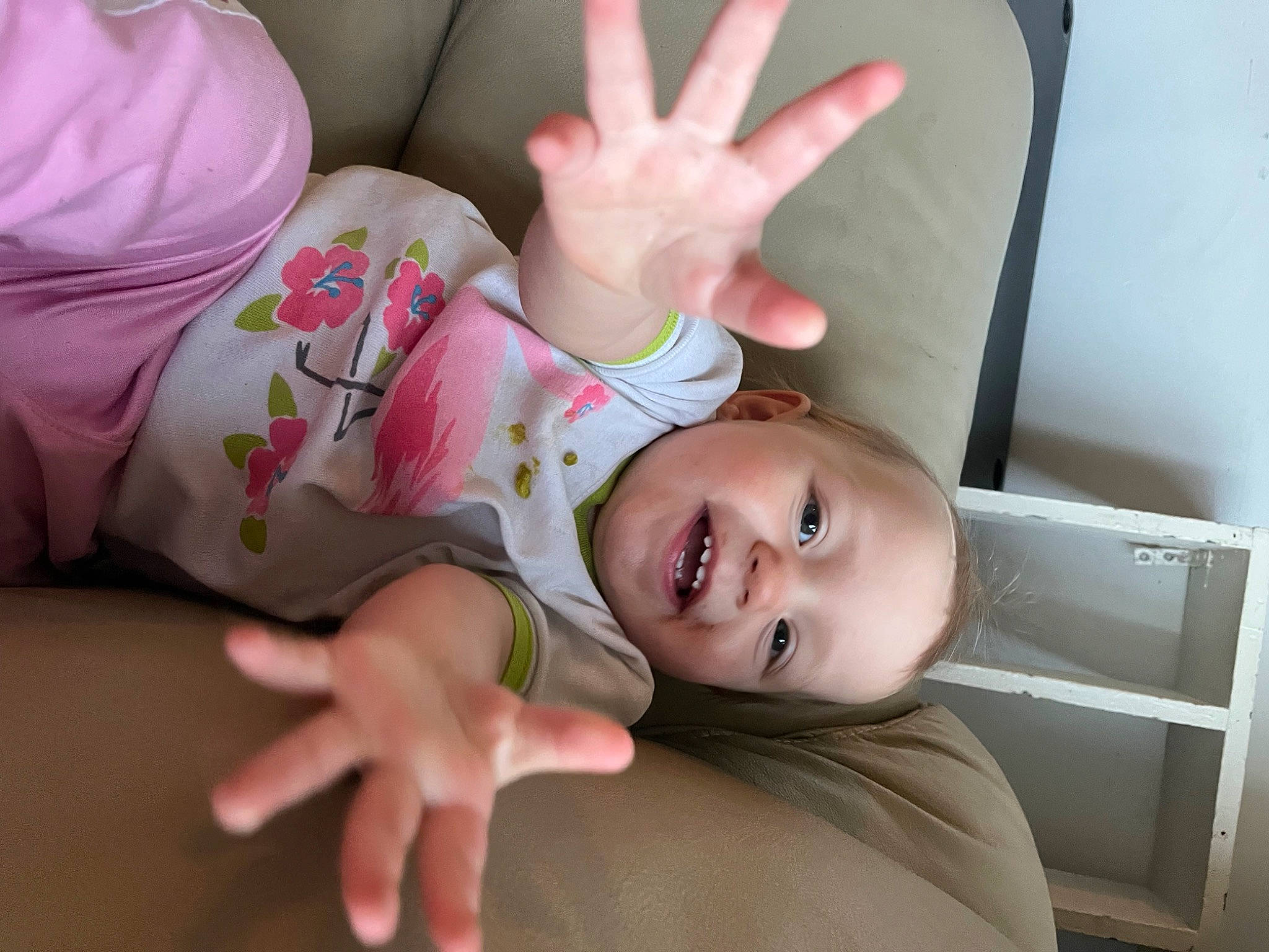 Amaya-taylor a rejoint le concours — aidez-le/la à gagner de superbes lots ! baby, baby_toddler_clothing, cheek, chin, comfort, eyebrow, finger, flash_photography, gesture, hand, happy, human_body, leg, lip, mouth, nose, person, plant, skin, smile