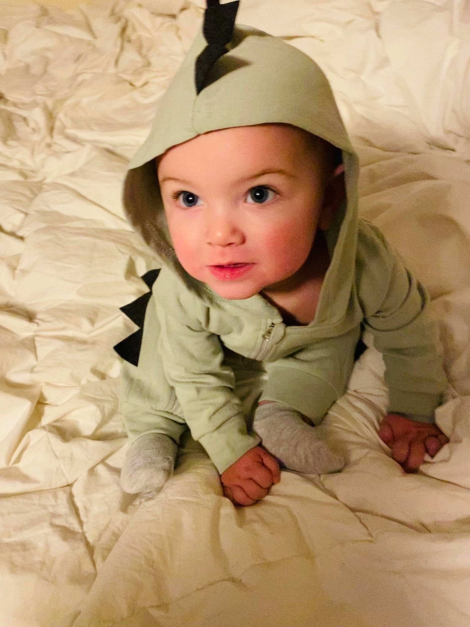 Dexter joined the competition — help win amazing prizes! baby, baby_toddler_clothing, cap, cheek, child, clothing, comfort, fashion_accessory, flash_photography, flooring, happy, headgear, headwear, linens, person, plant, skin, sleeve, smile, toddler