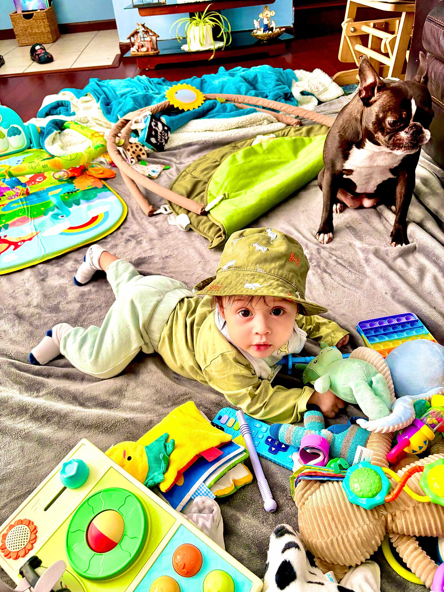 Lucian joined the competition — help win amazing prizes! baby, child, dog, toy, blanket, hat, floor, indoor, colorful, playtime, pet, curious, crawling, plush_toy, soft_toy, activity_mat, remote_control, wooden_toy, living_room, home