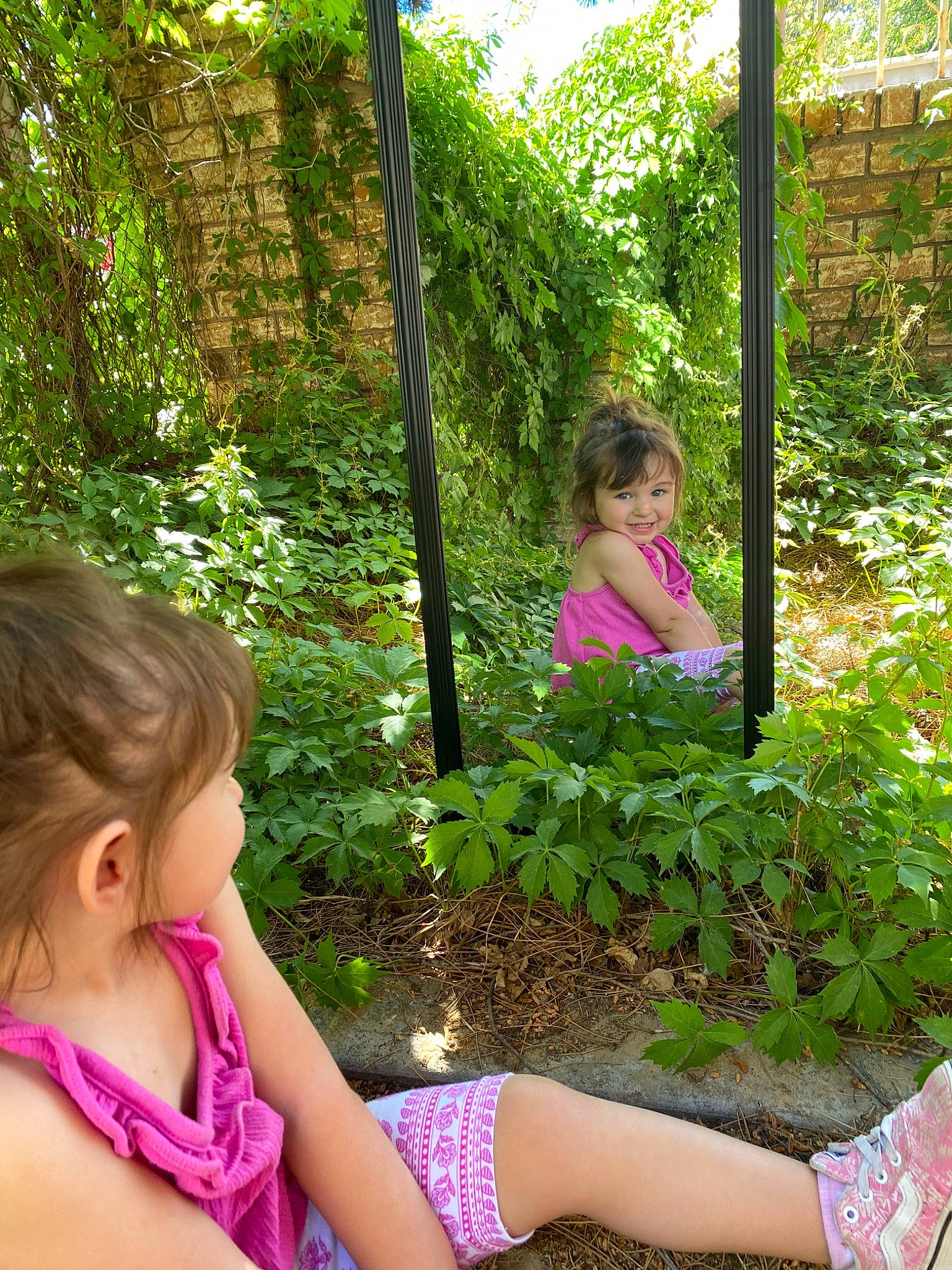 Paisley is registered to the contest to win money with this photo: botany, child, fawn, forest, fun, garden, grass, joy, jungle, leaf, leg, person, plant, play, shrub, spring, summer, terrestrial_plant, tree, vacation