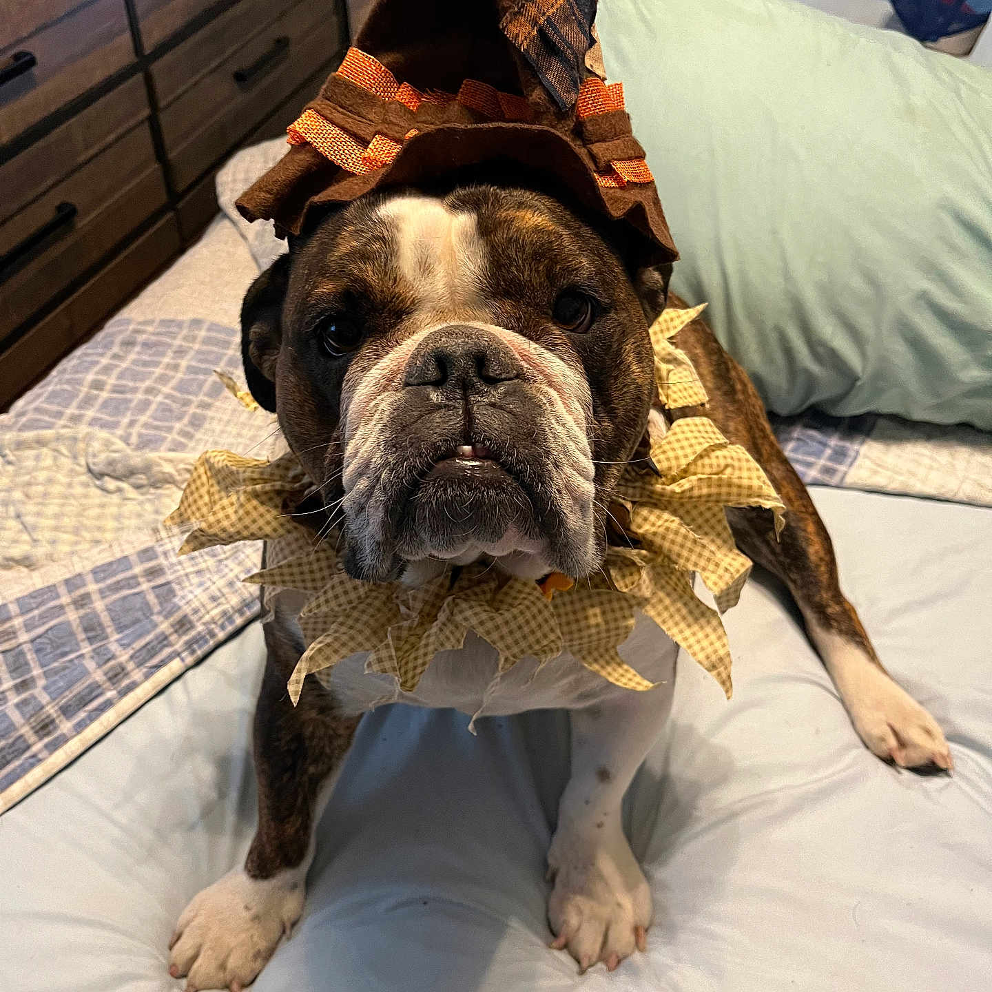 Bessie Mae