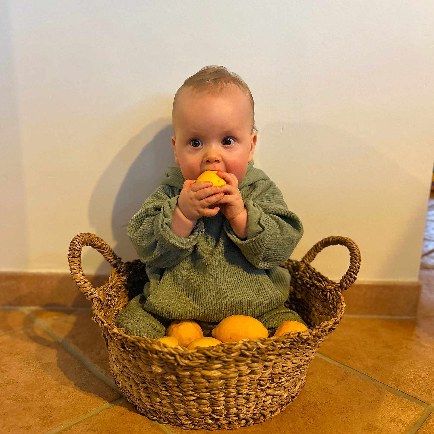 Emile a rejoint le concours — aidez-le/la à gagner de superbes lots ! baby, child, basket, lemons, fruit, floor, tiled_floor, green_clothing, cute, sitting, indoors, curious, hands, face, head, eyes, nose, mouth, woven_basket, home