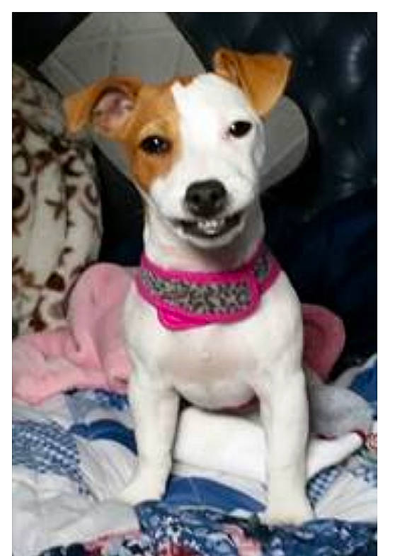 Maggie