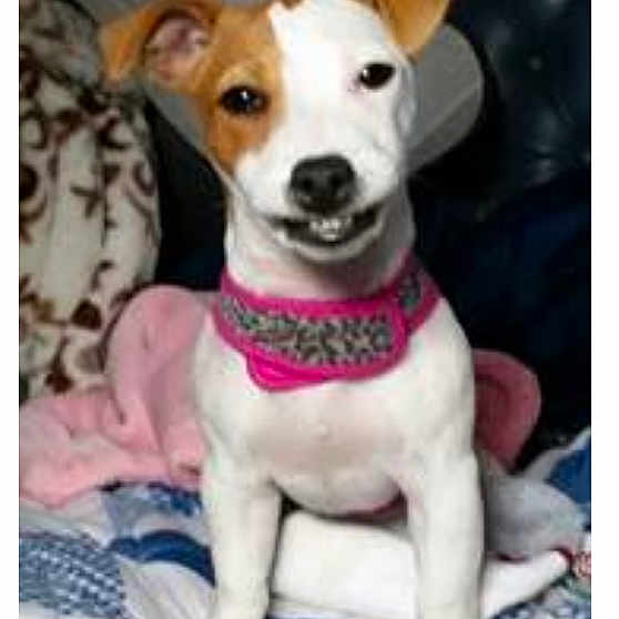 Maggie
