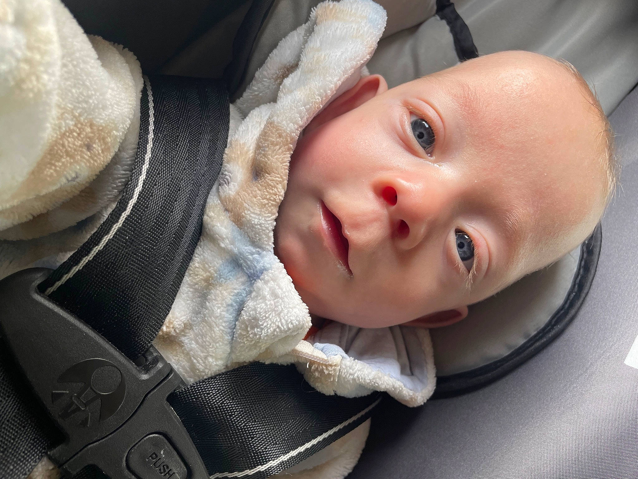 Damian joined the competition — help win amazing prizes! baby, baby_carriage, baby_products, baby_safety, baby_toddler_clothing, car_seat, cheek, child, comfort, eyebrow, eyelash, iris, lip, mouth, nose, person, portrait_photography, sitting, skin, sleeve