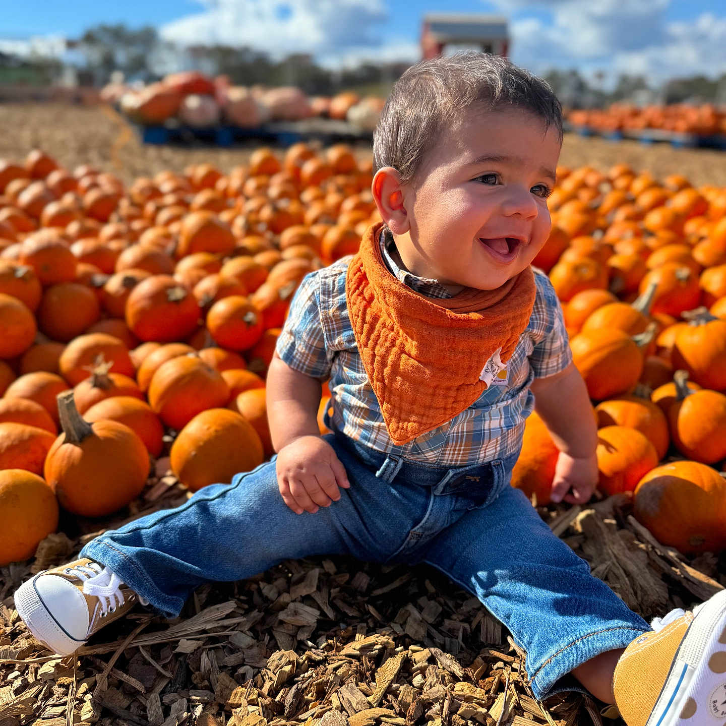 Nathaniel is registered to the contest to win money with this photo: autumn, bandana, child, daylight, fall, ground, happy, jeans, nature, orange, outdoor, plaid_shirt, portrait, pumpkins, seasonal, smiling, sneakers, sunny, toddler, woodchips