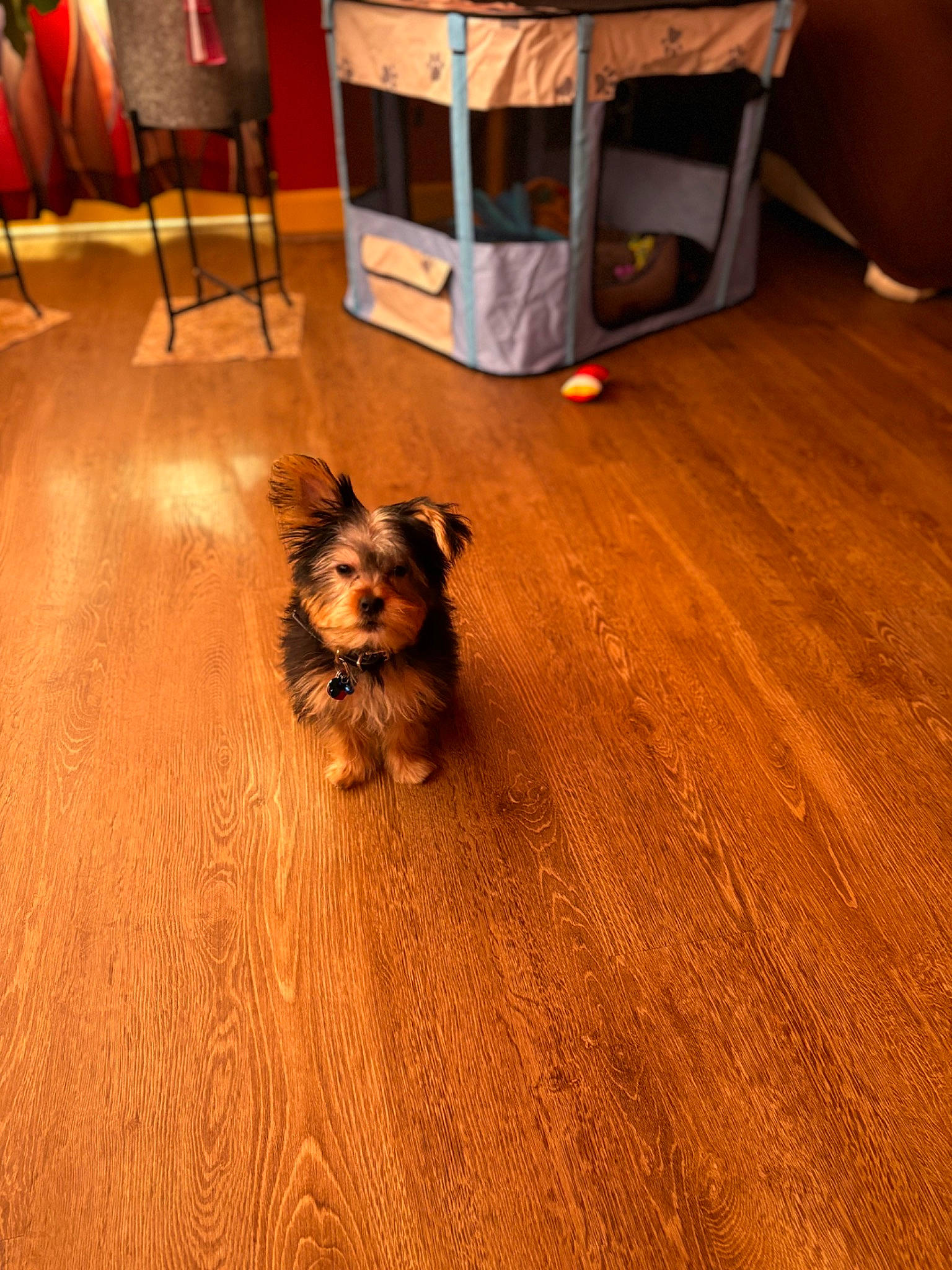 Milo