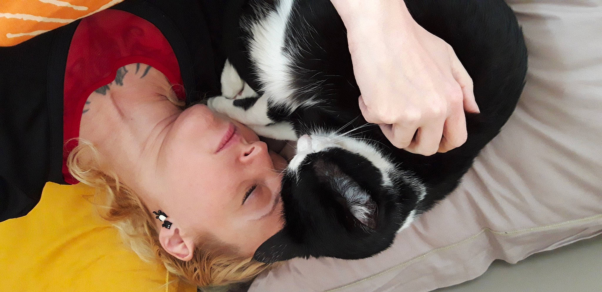 Katniss a rejoint le concours — aidez-le/la à gagner de superbes lots ! black_hair, carnivore, cat, comfort, companion_dog, ear, eye, eyelash, felidae, gesture, happy, head, human_body, mammal, neck, nose, skin, small_to_medium_sized_cats, sunglasses, whiskers