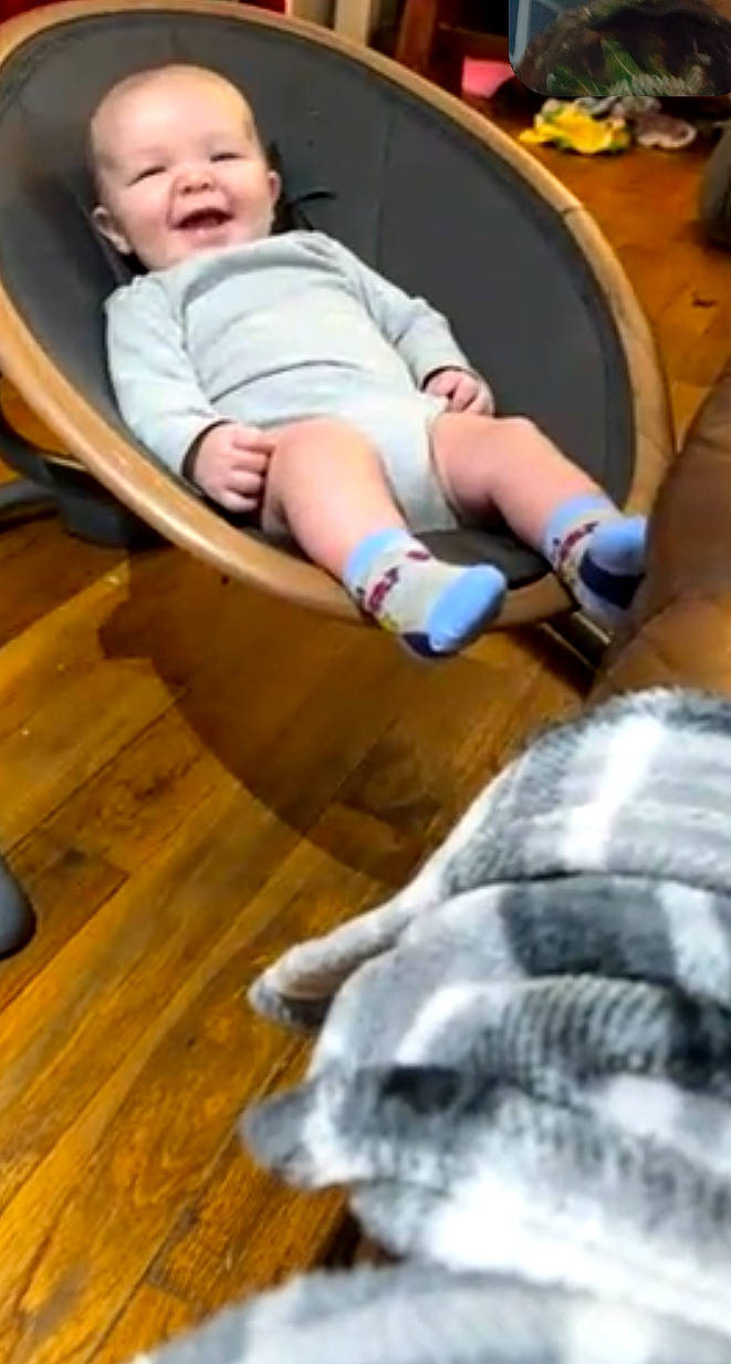 Jackie is registered to the contest to win money with this photo: animal, baby, babylaughing, canine, clothing, dog, face, happy, head, hosiery, person, pet, shorts, smile, sock