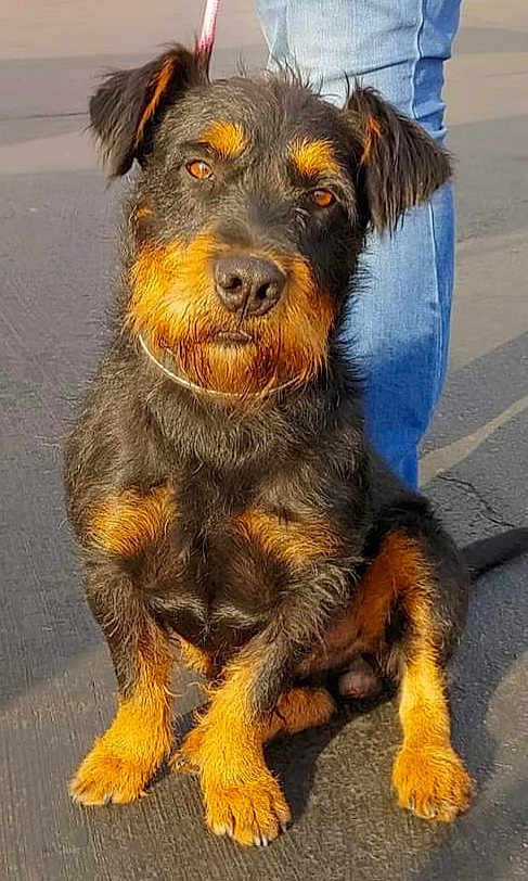 Murphy