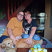 Buni a rejoint le concours — aidez-le/la à gagner de superbes lots ! birthday, cake, candles, celebration, couple, dog, dogs, family, glasses, golden_retriever, home, indoors, living_room, man, portrait, puppy, seated, smiling, table, woman