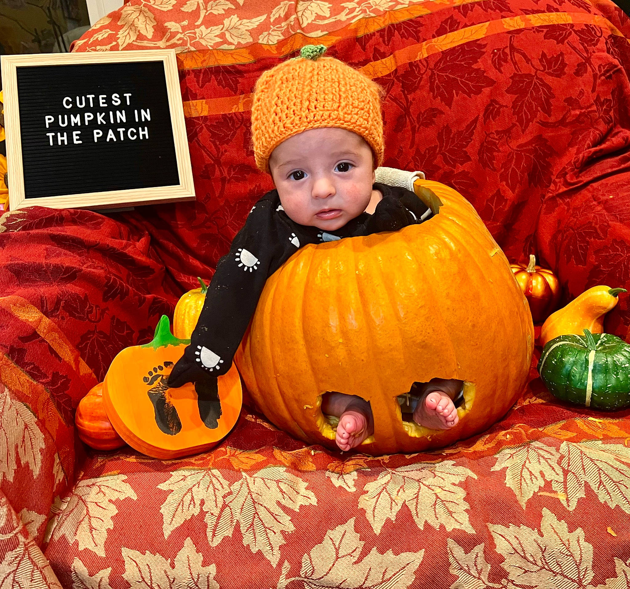 Lucas is registered to the contest to win money with this photo: _and_melon_family, _gourd, baby, baby_toddler_clothing, calabaza, comfort, cucumber, cucurbita, fruit, gourd, happy, headwear, local_food, natural_foods, orange, person, plant, pumpkin, sitting, squash