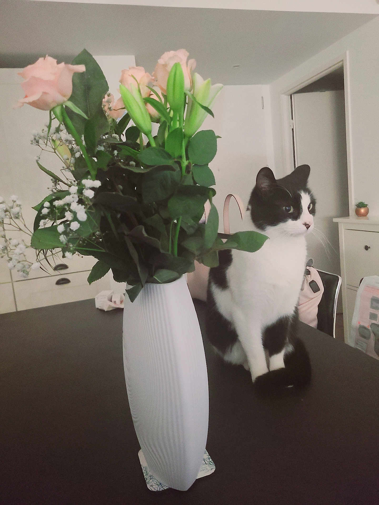 Firmus participe au concours pour gagner de l'argent avec cette photo : cat, flower, vase, table, indoor, black_and_white_cat, plant, furniture, home, decor, pet, green_leaves, pink_flowers, white_flowers, domestic_cat, curious, sitting, cozy, room, household
