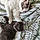 Koba Et Snow
