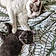 Koba Et Snow