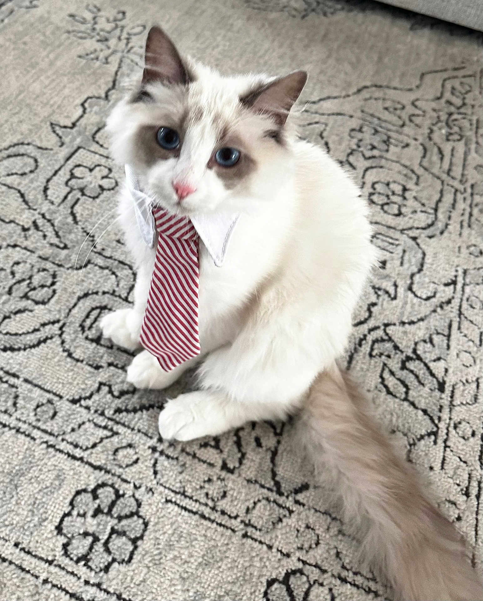 Gary