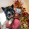 Odin joined the competition — help win amazing prizes! person, dog, christmas_tree, holiday, indoor, hug, smile, cap, decorations, lights, festive, red, green, white, animal, friendship, celebration, joy, winter, home