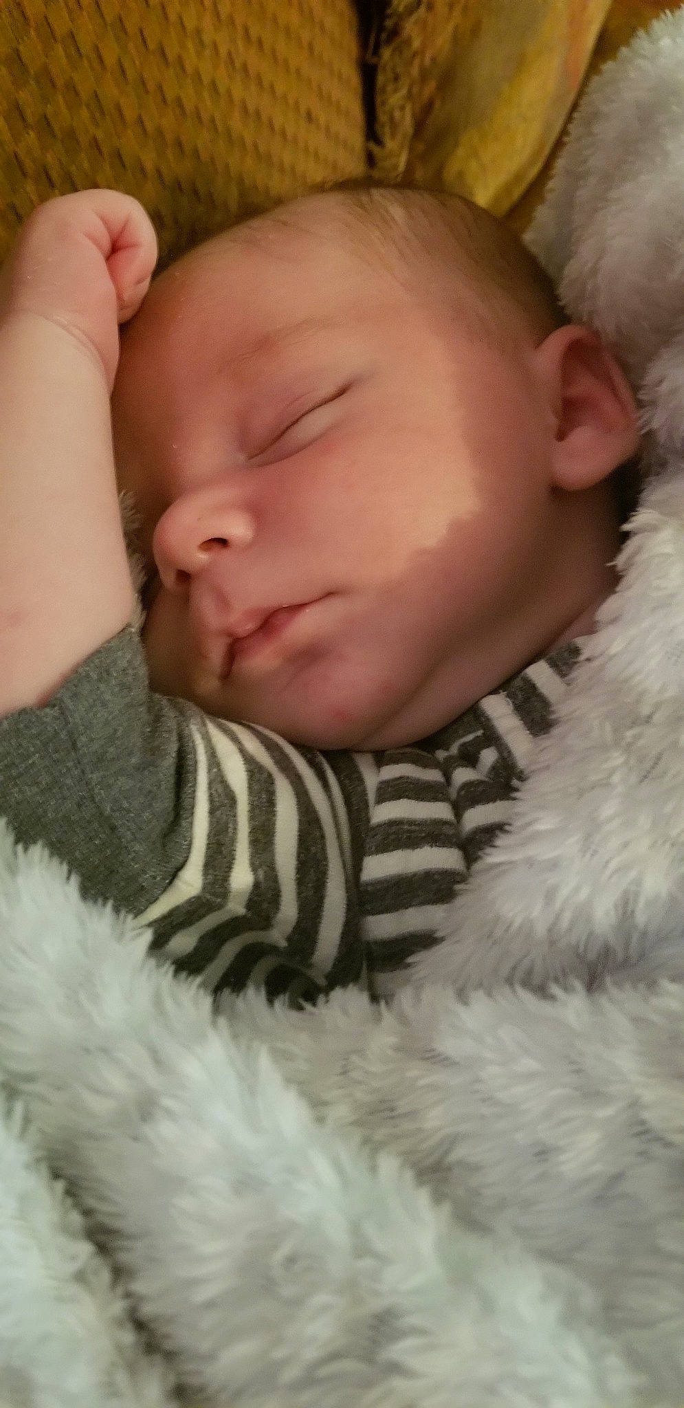 Johnathan is registered to the contest to win money with this photo: baby, baby_sleeping, bedtime, cheek, child, close_up, ear, eye, face, fur, head, lip, mouth, nap, nose, person, skin, sleep, toddler